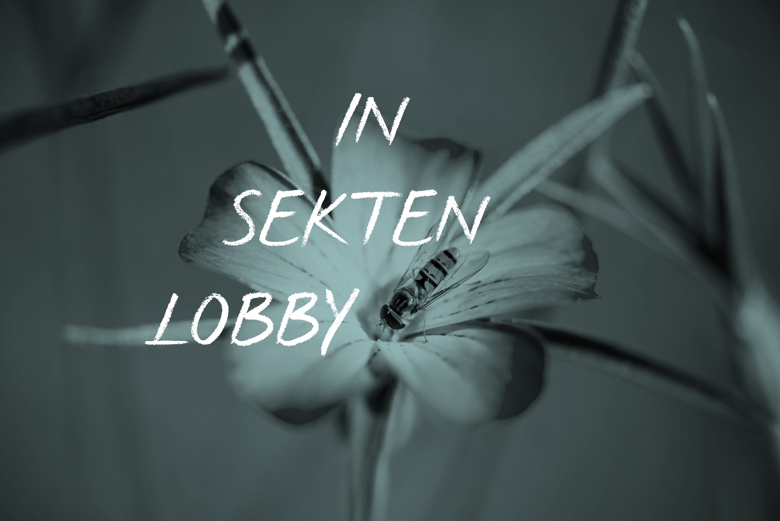 Eine Lobby für Insekten: Tag der Insekten 2019, Insektenlobby, Blume, Biene, Tina Teucher