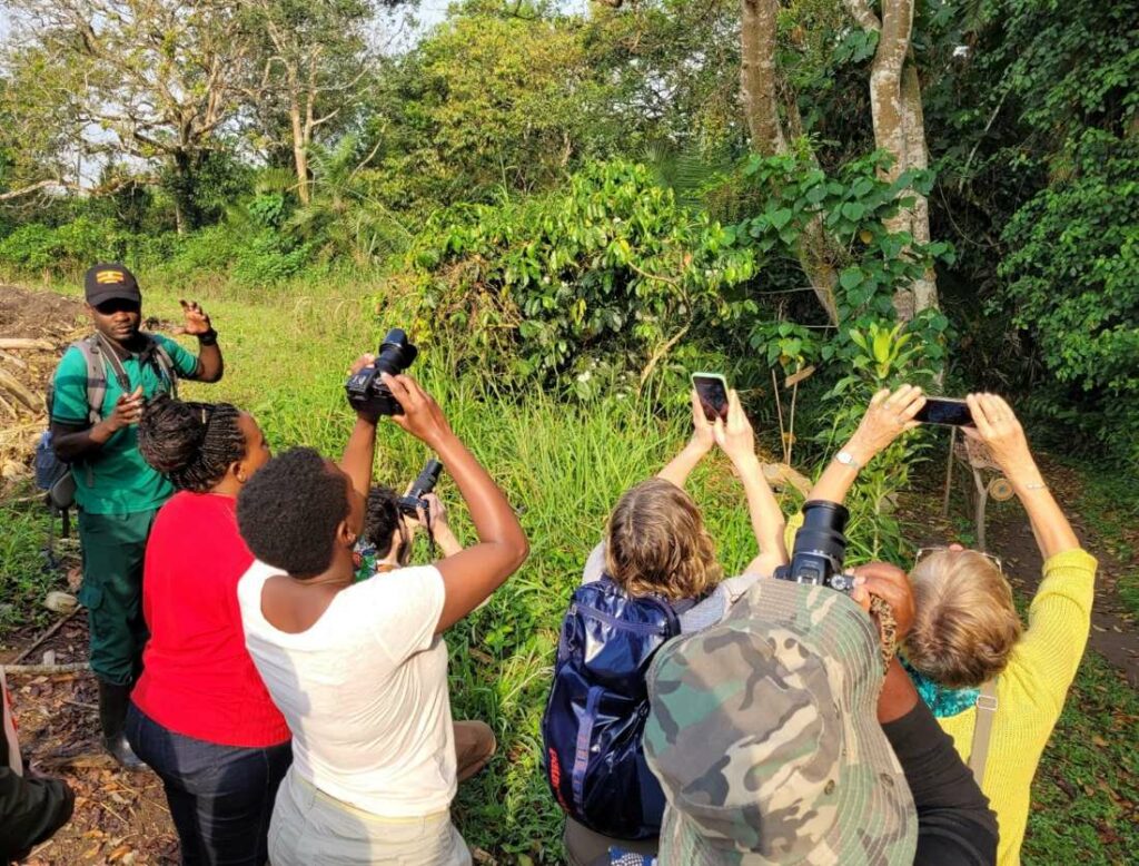 ecotourism in Bigodi, Uganda: tourists watching birds and taking photos